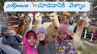 Alpaca🦙చూడడానికి వెళ్ళాం😍|చాలా activities| makkara🌭తిన్నాం#finnishculture#-13*చలి🥶