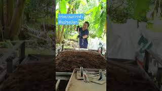 #shortsviral #เกษตรอินทรีย์ #โต๊ะปลูกผัก #ผักสลัด