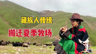 【Naqulahm】20 Lahm is grazing outside.Do you know how to move yaks and grain？