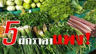 5อันดับผักราคาแพงขายได้ราคาดีที่ตลาดไทในฤดูฝน (5 expensive vegetables) Farm Station