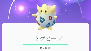 【ポケモンGO】神引き11連！ベイビィポケモンGET？5kmタマゴガチャ！