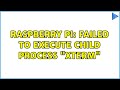 Raspberry Pi: Failed to execute child process 