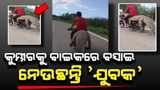 କୁମ୍ଭୀରକୁ ବାଇକରେ ବସାଇ ନେଉଛନ୍ତି ଯୁବକ...Odisha Viral Video !!