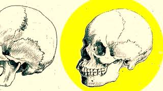 Origins of the word caucasian