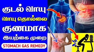 குடல் வாயு நீங்க | Stomach Gas NATURAL Remedy | Kudal Vayu | Thanithuvamm