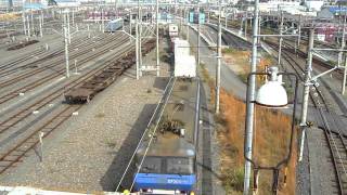 951レ EF200-10号機 静岡貨物駅入換③【ホキ2000-1甲種回送】