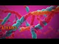 the hidden power of the x chromosome unraveling genetics and disease