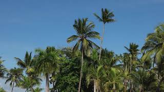 Senator Puerto Plata, Dominican Republic by Kolbie Conrad