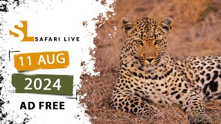 SafariLIVE Sunrise Safari - 11 August 2024 -  AD FREE