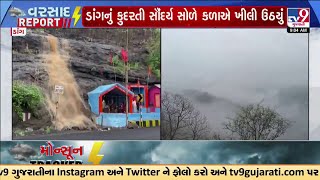 ડાંગના ઘરેણા સમાન ગીરા ધોધનો નયનરમ્ય નજારો | Dang | Gujarat Rains | Monsoon 2024 | TV9Gujarati