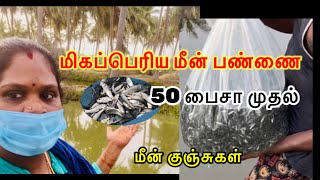 தஞ்சாவூரின் மிகப்பெரிய மீன் உற்பத்தி பண்ணை/Thanjavur fish farm.