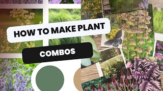 🌱🌸 How to Combine Plants - Making Plant Combinations 🌱🌸