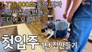 아무것도없는 땅에 새로 고양이집을 지었습니다. 그리고 오늘 드디어 입주합니다. (첫입주1탄)