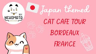 I WENT TO A CAT CAFE!!! Join me in this Japanese Themed Cafe in France!