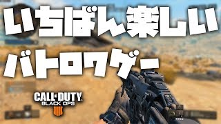 バトロワで１番楽しいゲームはこれだ！