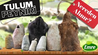 Erzincan'da Tulum Peyniri nereden Alınır?