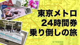 【東京メトロ】「24時間券」乗り倒しの旅【巨大猫】