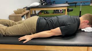 Prone Shoulder Blade Squeeze