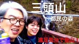 遠足気分で登山！ 39　三頭山 ー都民の森ー