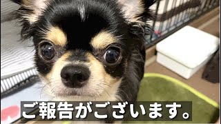 【ご報告】みなさまに大事なご報告がございます。