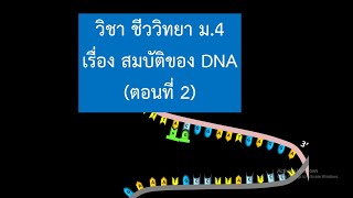 ชีววิทยา ม.4 การถอดรหัสของ DNA - Kru Soop