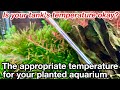 The appropriate water temperature for a planted aquarium.How to grow Bolbitis Heudelotii Microsorum