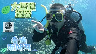 澳大利亚🇦🇺凯恩斯外堡礁潜水一日vlog｜总司令乘坐银燕号silver swift带你看遍大堡礁珊瑚海和热带鱼🐠｜三次深潜gopro全镜头展现海底世界