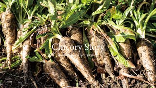 Chicory Story ~Awajishima Seiyouyasaien