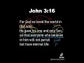 1 Minute Bible Study // John 3:16