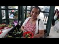 ጉሊት በአሜሪካ ከማማዬ ጋር america s farmers market