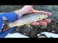 channel sneak peak for 2025 fishing new trout waters update and exploration