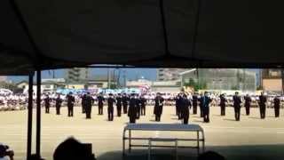 2015宮崎大宮高校体育祭 青団演舞