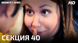 ИМЕНИЕТО С ЛОЗИТЕ | СЕКЦИЯ 40