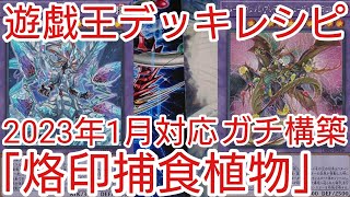 【＃遊戯王　デッキレシピ】2023年1月対応「烙印捕食植物」ガチ構築