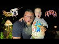 NIGHTTIME BUG HUNT with CALEB & DADDY! CATCHING BUGS FOR KIDS!