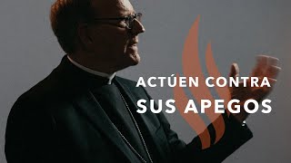 Actúen Contra sus Apegos - Sermón del Domingo del obispo Robert Barron