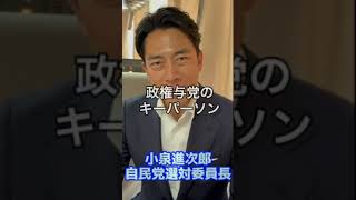 【小泉進次郎選対委員長】「政権与党のキーパーソン」「確かな実績」「今こそシゲキ」「佐藤しげき」大阪を新しい未来へ、佐藤しげきは全力で走り抜いてまいります✨#衆議院議員選挙#大阪3区#佐藤しげき#西成区