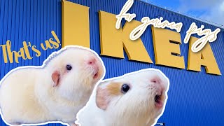 IKEA for Guinea Pigs