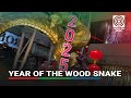 celebrating the year of the wood snake