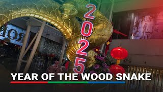 Celebrating the Year of the Wood Snake