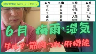 【梅雨・湿気】 肝機能・湿疹・筋肉のつれ・ダルさ、五行の法則：「肝を治すには心を施す」（木火土金水＝肝心脾肺腎）