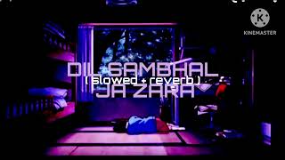 Dil Sambhal Ja Zara [ Slowed + Reverb ] Lofi Song || MURDER 2