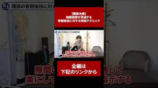 【腰痛治療】胸腰筋膜を貫通する脊髄後枝に対する神経テクニック【切り抜き】#short　#腰痛　#腰痛治療　#神経整体　#徒手療法　#治療家　#整体　#PLT協会