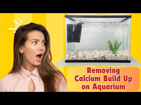 How to remove calcium build-up or white build up How to remove calcium build-up or white build up