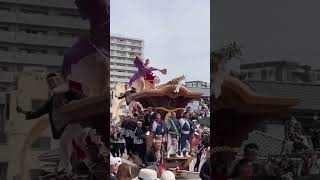 岸和田だんじり祭り。本町。これが究極の片足飛行機踊り！大工方！#shorts