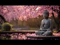 zen meditation relaxation music buddha cherry blossom 4k quantum healing sounds