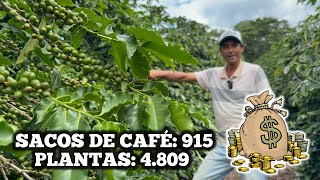 Segredo Da Produção De Café: Maior Produtividade Em Menor Espaço de Terra