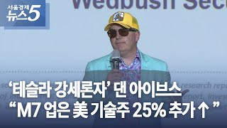 ‘테슬라 강세론자’ 댄 아이브스 “M7 업은 美 기술주 25% 추가↑”