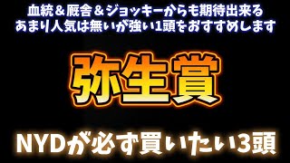 弥生賞ディープインパクト記念展望予想