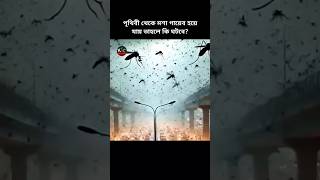 যদি সারা পৃথিবী থেকে মশা গায়েব হয়ে যায় তাহলে কি ঘটবে?🦟#shorts​ #knowledge​ #rajufactsclub